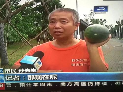 博乐近期吃瓜事件,揭秘近期热门吃瓜事件