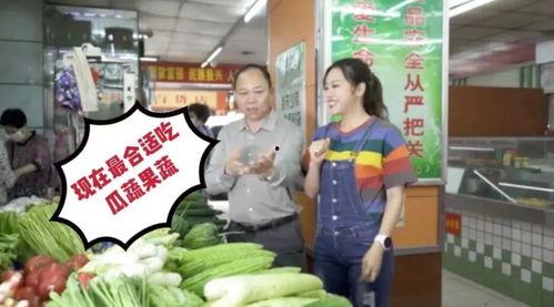 吃瓜美陈,网红美食背后的故事与魅力