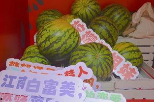 成都公园 吃瓜,成都公园里的夏日“吃瓜”盛事