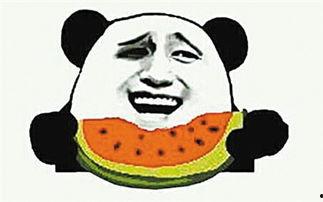 群众吃野瓜视频大全,探寻民间美食的绿色宝藏