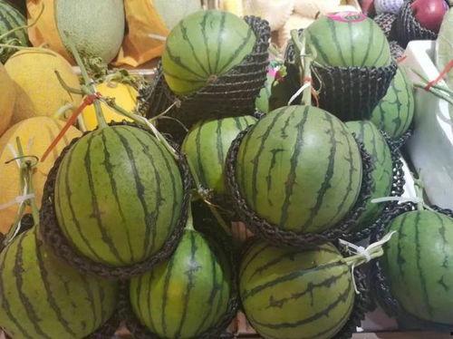 吃瓜又又甜,探寻“吃瓜又又甜”的独特魅力