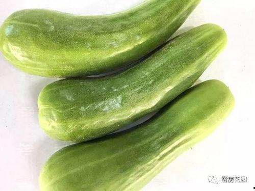 坎瓜老了怎么吃,探索传统食材的新吃法