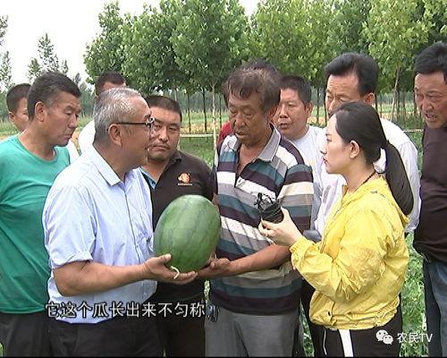 硕博吃瓜,揭秘学术界的“吃瓜”风云