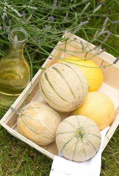 市二医院吃瓜,揭秘背后的真相与反思