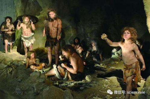 遇狼85吃瓜人,一场吃瓜人生的奇幻旅程