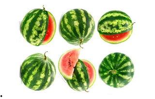 谷子吃瓜视频,揭秘网红美食背后的故事