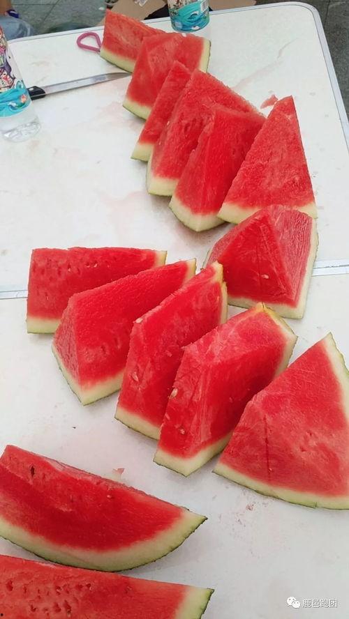 吃瓜比赛准备吃瓜比赛,备战吃瓜大赛，瓜技大比拼！